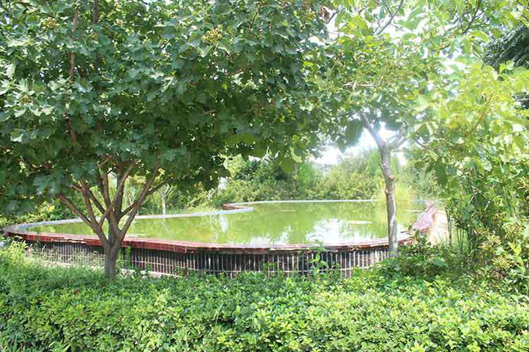 开云网页版·官方站入口-开云(中国)  机械厂区环境优美